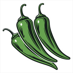 Graphic logo icon clipart of a green chili pepper