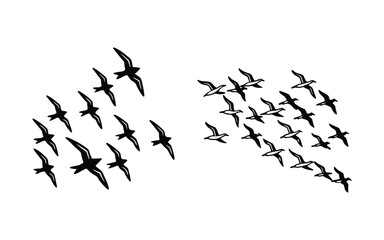 Broken glass reflects a silhouette of birds flying in the blue sky.