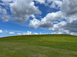 A vast green meadow dotted with yellow wildflowers stretches beneath a dramatic sky filled with fluffy white clouds.