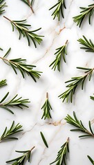 Fresh rosemary sprigs scattered on marble background food beverage