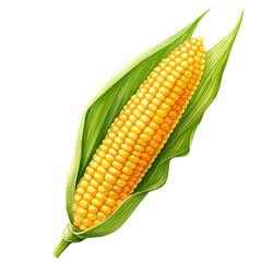 My Watercolor illustration,  A ripe corn painting isolated on a white background, illustration, AI painting design, vector illustration set, eps format