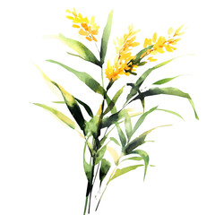 My Watercolor illustration,  A branch of  corn painting isolated on a white background, illustration, AI painting design, vector illustration set, eps format