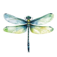My Watercolor illustration, dragonfly painting isolated on a white background, illustration, AI painting design, vector illustration set, eps format	
