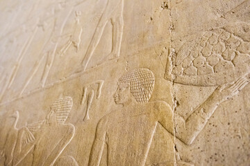 Ancient Egyptian hieroglyphs carved into stone wall, Saqqara, Egypt