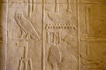 Hieroglyphic carvings depicting owl and various symbols, Saqqara, Egypt