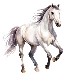 My Watercolor illustration, illustration horse painting isolated on a white background, illustration, AI painting design, vector set, eps format design,