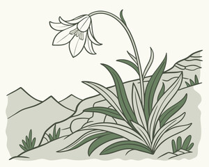 vector illustration of a lily of valley