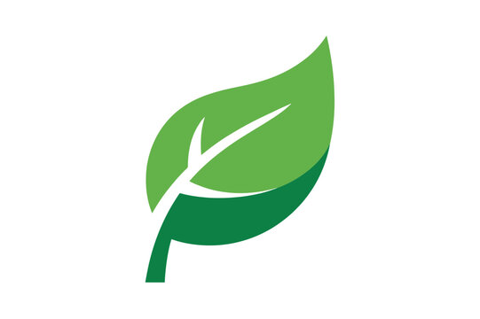 Green leaf logo design for nature and eco concepts