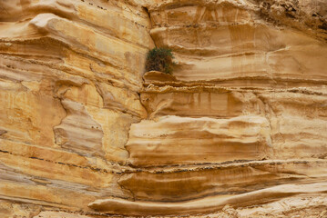 Majestic geological formations at Ein Avdat, Israel, showcasing rugged desert cliffs with sedimentary layers and stunning erosion patterns in a breathtaking landscape.
