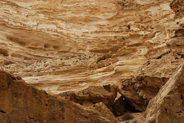 Eroded limestone canyon in Ein Avdat, Israel, showing layered rock formations, desert vegetation, and natural textures shaped by wind and time.
