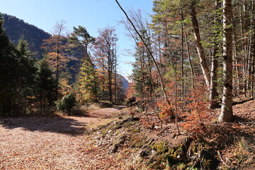 Schöner Herbsttag in den Wäldern von Mittenwald in den Bayerischen Alpen	