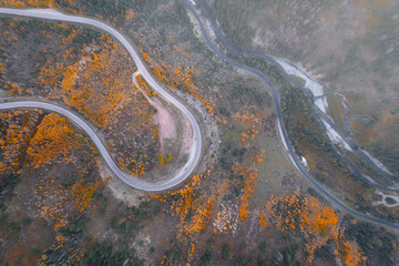 Kebler Pass Fall Colors, San Juan Mountain, Colorado Fall Colors