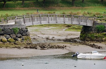 Seealgen im Flussbett bei Ebbe und Ankerbojen