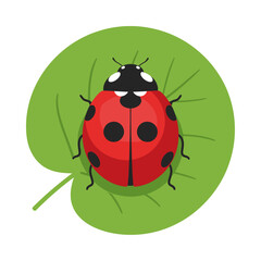 Charming Ladybug Graphic with Green Leaf