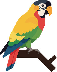 Fototapeta premium Colorful parrot bird perched on branch vector illustration with vibrant feathers natural style 