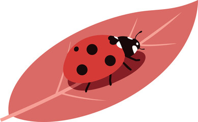 Obraz premium Ladybug on red leaf vector illustration simple nature insect graphic design 