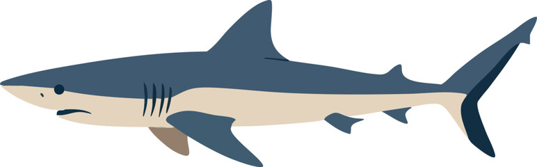 Great white shark swimming ocean wildlife marine animal vector illustration 