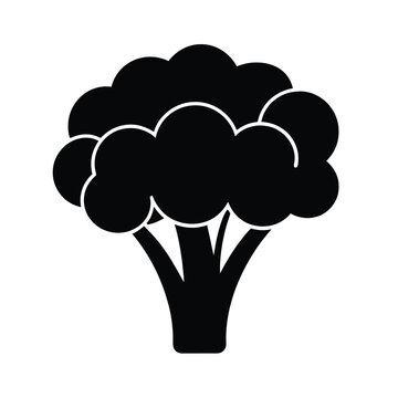 Broccoli Icon Vector Flat Clean Look Isolated