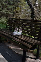 bench in the park