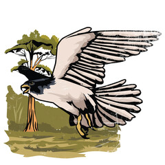 falcon in the wild in vector format