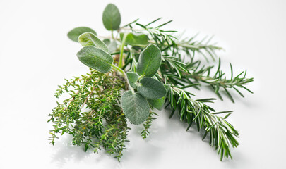 Aromatic herbs isolated on white background. Thyme, rosemary, sage salvia fresh green leaves for cooking. Aromatherapy oils ingredients. Close up. 