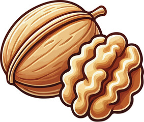 Vector illustration of a whole walnut and a walnut kernel isolated on white