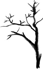 나무,나무가지,나뭇가지,설날,새해,추석,한가위,설,소나무,잔나무,전나무,수채화,붓그림,한국전통,명절,명절나무,식물,감나무,