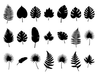 Mixed leaf botanical silhouettes EPS Vector Set Silhouette File for eco friendly and natural designs