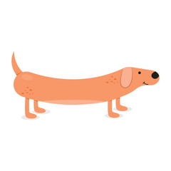 Sausage Dog Icon Vector Design.