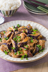 【茄子と豚肉の味噌炒め】茄子と豚肉を味噌だれで炒め合わせ小葱を散らして仕上げました。