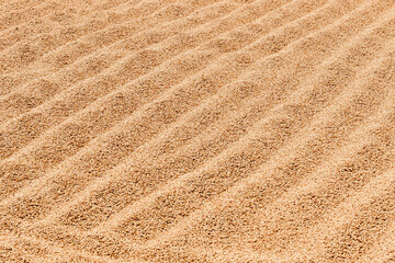 Close View of Rice Grains Arranged in Neat Raked Waves