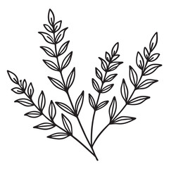 Fototapeta premium Elegant hand drawn floral branch illustration with outlines for decorative design elements