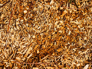 A pile of wood chips is scattered on the ground. Concept of decay and decomposition, as the wood chips are no longer in their original form