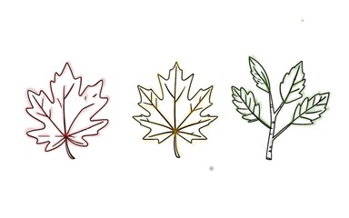 branch with leaves. Autumn Leaf Clipart: A set of cute autumn-themed leaf illustrations, ideal for greeting cards, scrapbooking, or other craft projects.