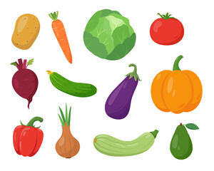 Fototapeta premium Set of fresh vegetables. Pumpkin, potato,eggplant and zucchini, tomato, cabbage and paprika, cucumber, carrot and beet icons. Vector icons illustration isolated on white background.