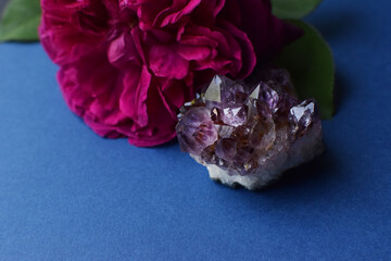Beautiful intergrowth of amethyst crystals and a rose flower on a blue background. Healing crystals.