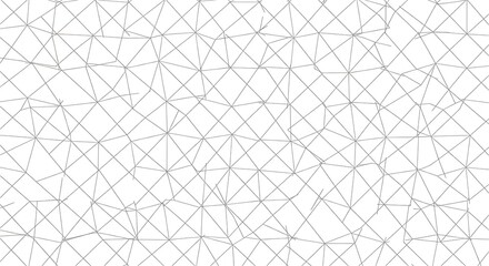 Fototapeta premium gray texture pattern vector