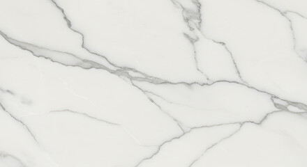 Obraz premium High Resolution White Marble Stone Surface with Natural Grey Veins Texture