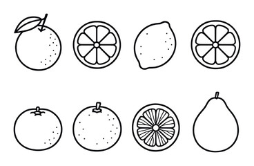 Citrus fruits outline icons set – linear, lemon and lime symbols for design