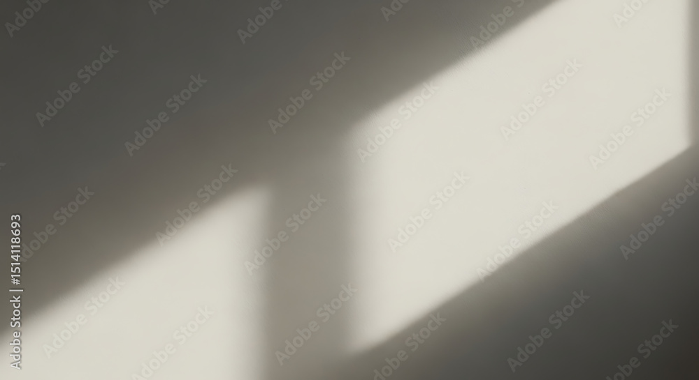 Poster bright sunlight filters through a window, casting soft, geometric shadows on a neutral wall. the int
