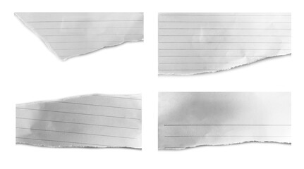 Set of ripped torn paper on white background.