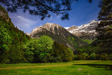 Valle de Bujaruelo en el pirineo, Torla, España