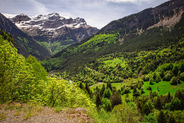 Valle de Bujaruelo en el pirineo, Torla, España