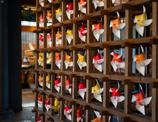 Fototapeta premium Japanese Pinwheel Display