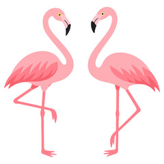 Two pink flamingos standing on one leg. Cute flat vector illustration of tropical birds for summer and vacation themes.