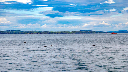 Saint andrews in canada in new Brunswick bay atlantic ocean