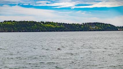 Saint andrews in canada in new Brunswick bay atlantic ocean