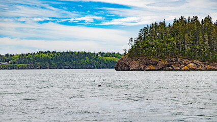 Saint andrews in canada in new Brunswick bay atlantic ocean