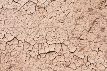 dry cracked earth