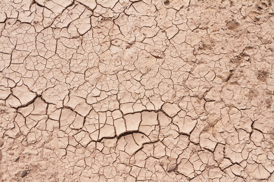 dry cracked earth - Powered by Adobe